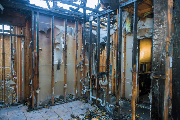 Professional Fire Damage Removal technician working in Radisson, NY